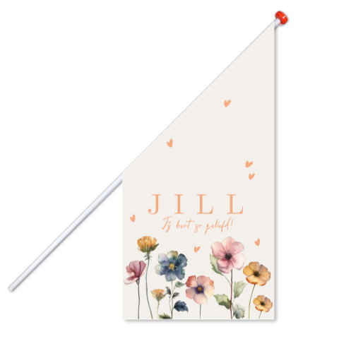 geboortevlag Jill geschilderde veldbloemen kleurrijk