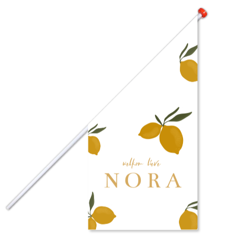 geboorte vlag jongen meisje met citroentjes en witte achtergrond