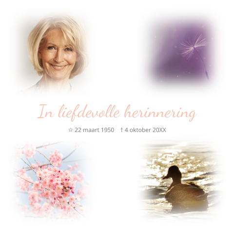 Bedankkaart na overlijden vrouw met ruimte voor 4 foto