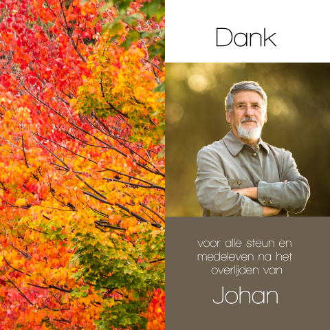 Rouw bedankkaart met bomen in herfstkleuren