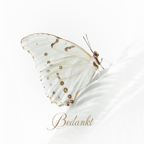 Bedank kaart met vlinder wit