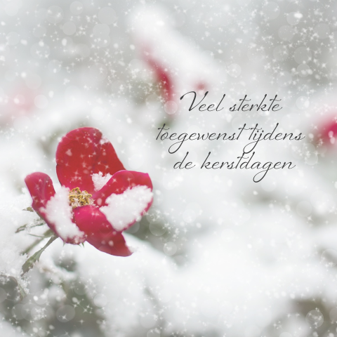 Kerstkaart na overlijden veel sterkte