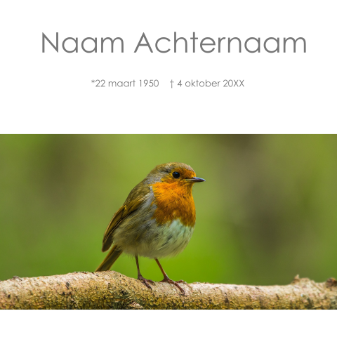 Rouwkaart met een foto van een roodborstje op een tak