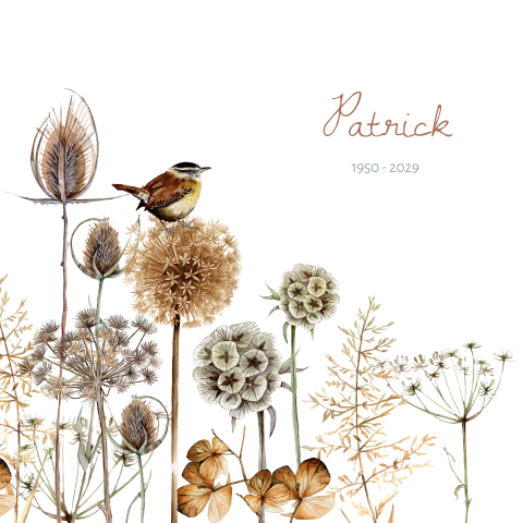 Rouwkaart met een vogeltje op droogbloemen