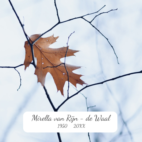 Rouwkaart met foto van herfst blad aan winterse tak