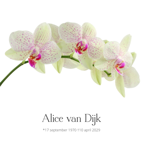 Stijlvolle rouwkaart met wit roze orchidee en grijze tekst