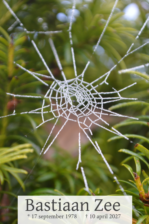 Rouwkaart met foto van bevroren spinnenweb in tuin
