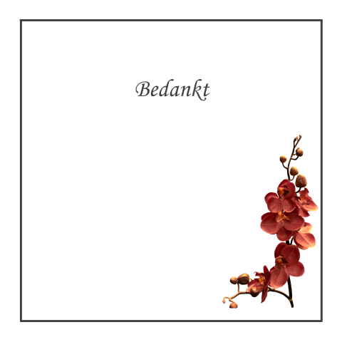 Traditionele bedankkaart voor een vrouw oranje rode orchidee wit met rouwrand