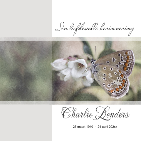 Bedankkaart na overlijden met vlinder en witte bloem