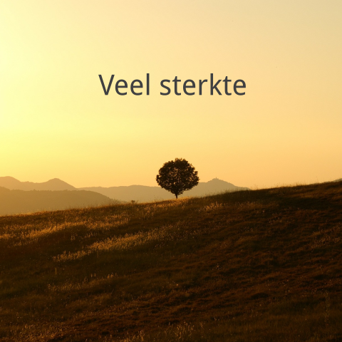 Condoleancekaart sterkte wensen met gele lucht en boom