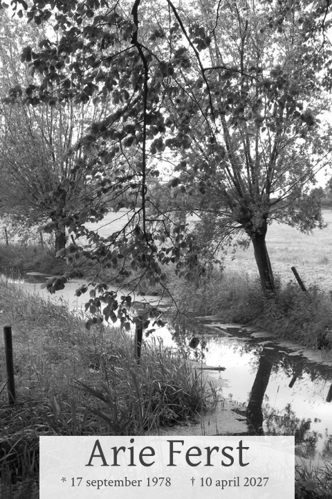 Mooie rouwkaart met foto van knotwilgen in zwart wit