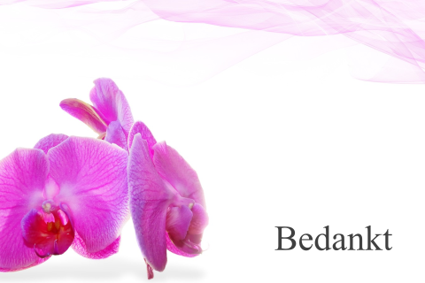 Stijlvolle warme dankbetuiging vrouw met roze orchidee