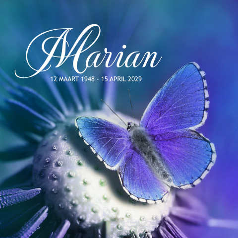 Rouwkaart paars blauwe tinten met vlinder