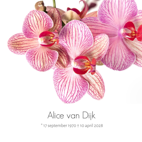 Rouwkaart voor een vrouw met bloemen met roze orchidee en grijze tekst