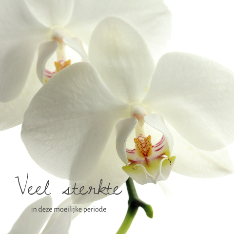 Sterkte in deze moeilijke periode kaart met orchidee