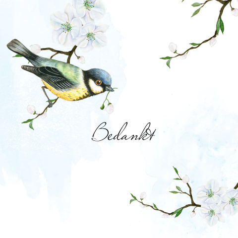 Bedankkaart witte bloesem en vogel