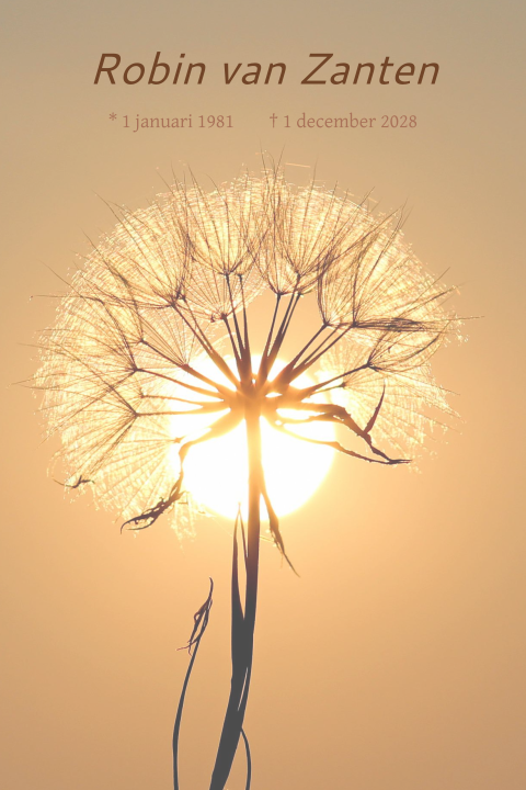 Rouwkaart met uitgebloeide paardenbloem en de zon