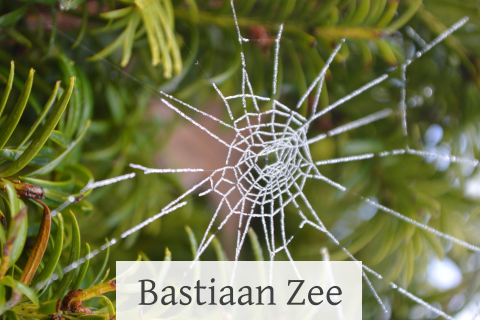 Mooie bedankkaart met foto van bevroren spinnenweb in tuin