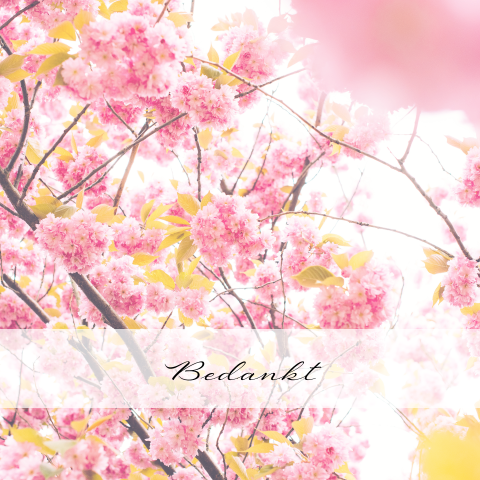 Bedankkaart vrouw met prachtig gefotografeerde roze bloesem bloemen