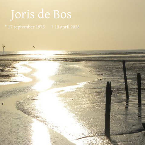 Moderne rouwkaart met foto van de ochtendzon op het strand