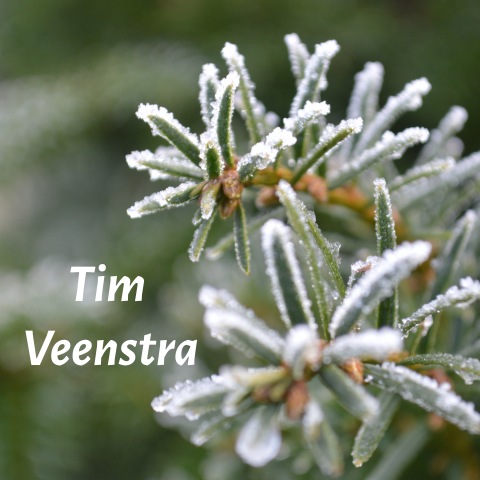 Winter rouwkaart in groen met sparrentak tijdens vorst