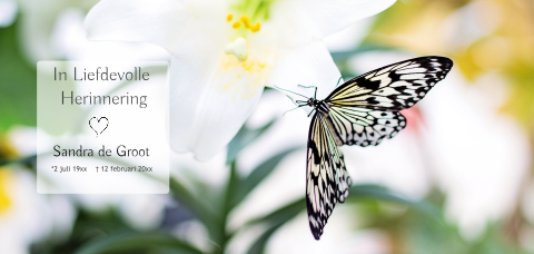 Bedankkaart na overlijden met prachtige vlinder en lelie