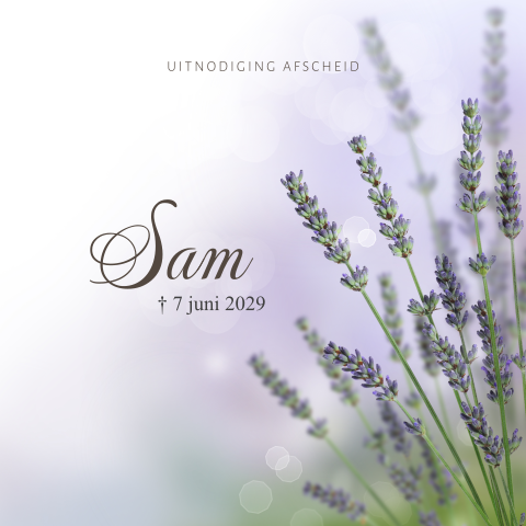 Mooie rouwkaart met paarse lavendel