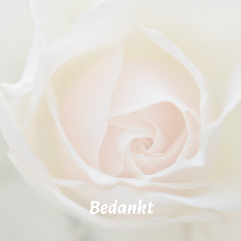 Bedankkaart na overlijden met grote witte roze roos