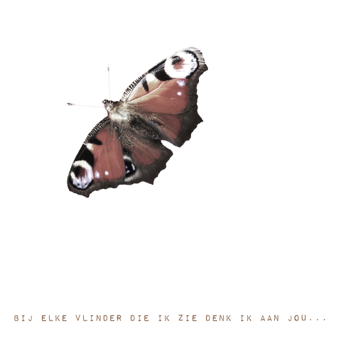 Rouwkaart modern met foto van vlinder