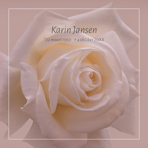 Stijlvolle warme rouwkaart vrouw witte roze roos en rouwrand