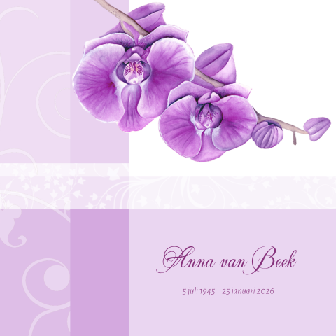 Rouwkaart voor een vrouw met een getekende paarse orchidee bloem