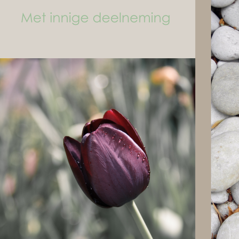 Met innige deelneming kaart man vrouw met paarse bloem en kiezelstenen