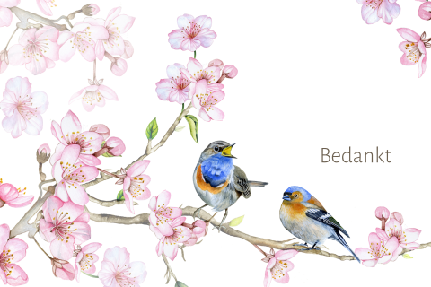 Bedankkaart na overlijden met vogels roodborstje en roze bloemen bloesem