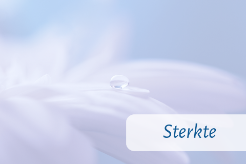 Sterkte wensen kaart maken met druppel op bloem