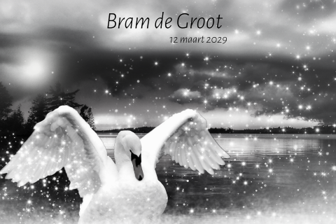 Rouwkaartje voor een kind met een zwaan en sterren