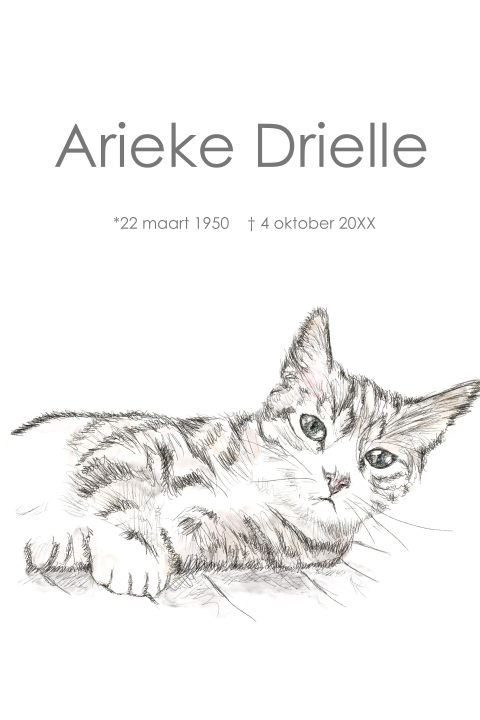 Mooie rouwkaart met getekende poes