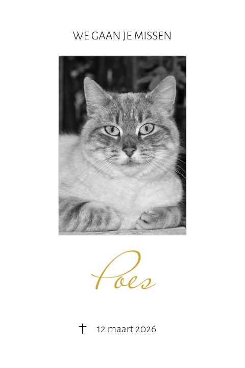 Rouwkaart voor dieren poes