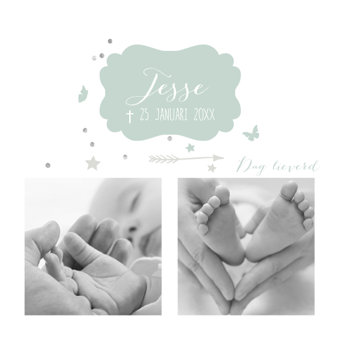 Rouwkaartje baby jongetje met foto en vlindertjes