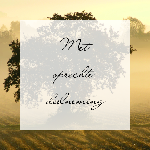 Condoleance kaart met boom en een warme tint achtergrond