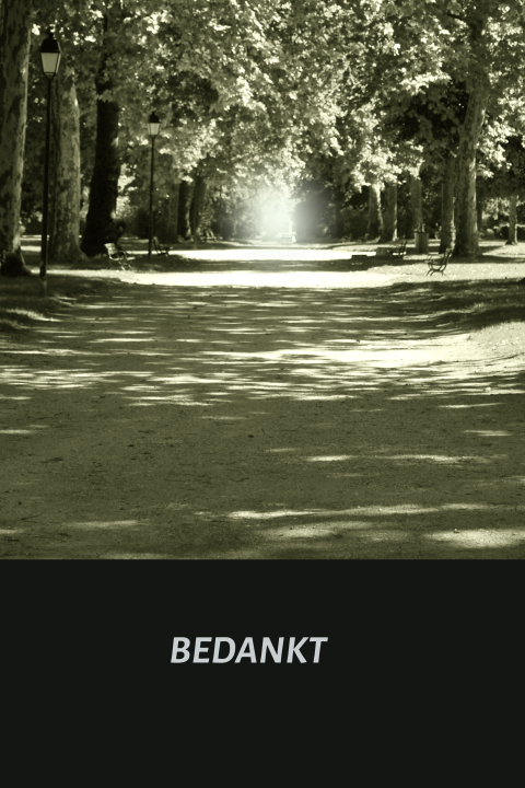 Prachtige bedankkaart met gefotografeerde pad met bomen