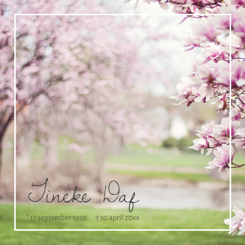 Rouwkaart voor een vrouw met bomen en roze magnolia bloemen