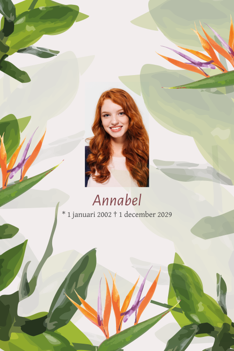 Rouwkaart paradijsvogel planten botanisch strelitzia