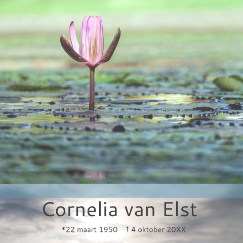 Herinneringskaart vrouw of man met paarse waterlelie en groen
