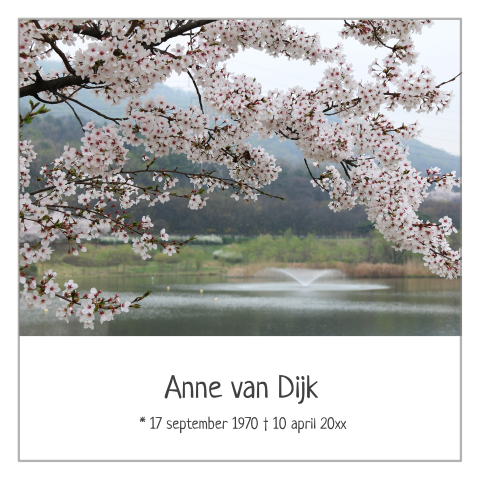 Rouwkaart met bloesem en rouwrand