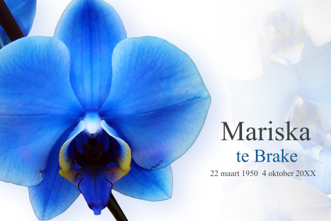Stijlvolle warme rouwkaart blauwe orchidee