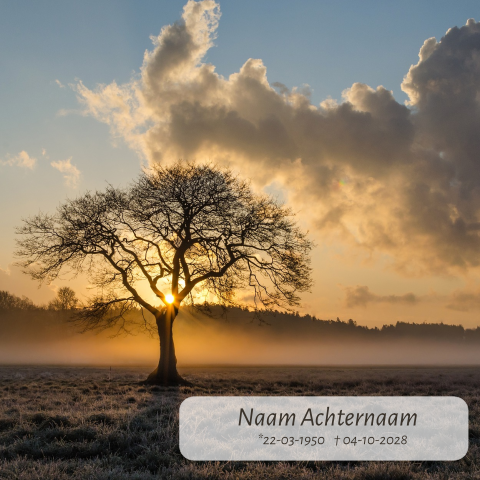 Rouwkaart voor een man.  Modern met winter landschap en boom