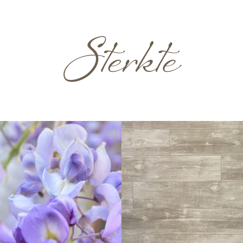 Sterkte kaart stijlvol ontwerp met hout vlakken