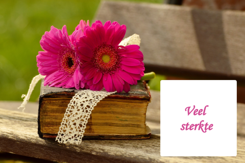 Condoleance kaart met fel roze gerbera