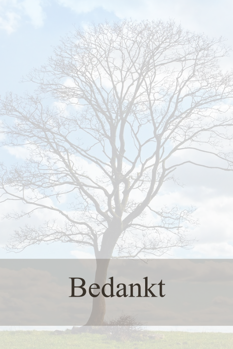 Mooie moderne bedankkaart met boom in de winter en blauwe lucht