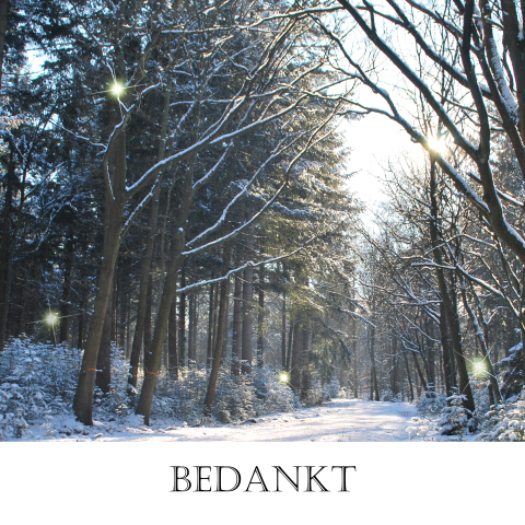 Bedankkaart prachtig gefotografeerde winterbos